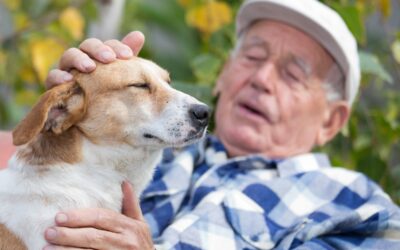 The Benefits of Pet Therapy in Care Homes