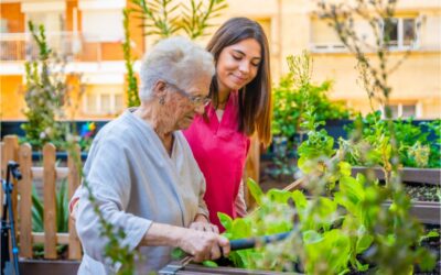 Can You Maintain Independence When Living in a Care Home?